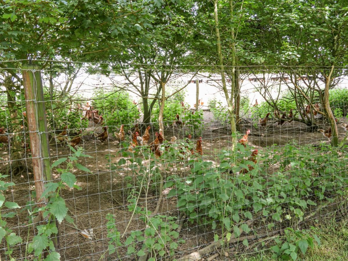 Glebe Farm Cottage Newry Ngoại thất bức ảnh
